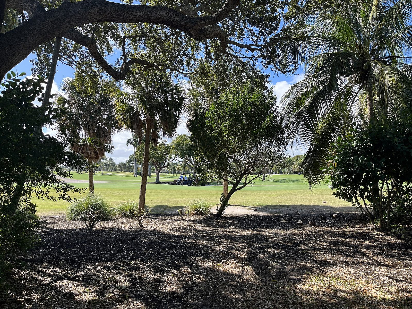 The golf course at La Gorce Country Club in Miami Beach