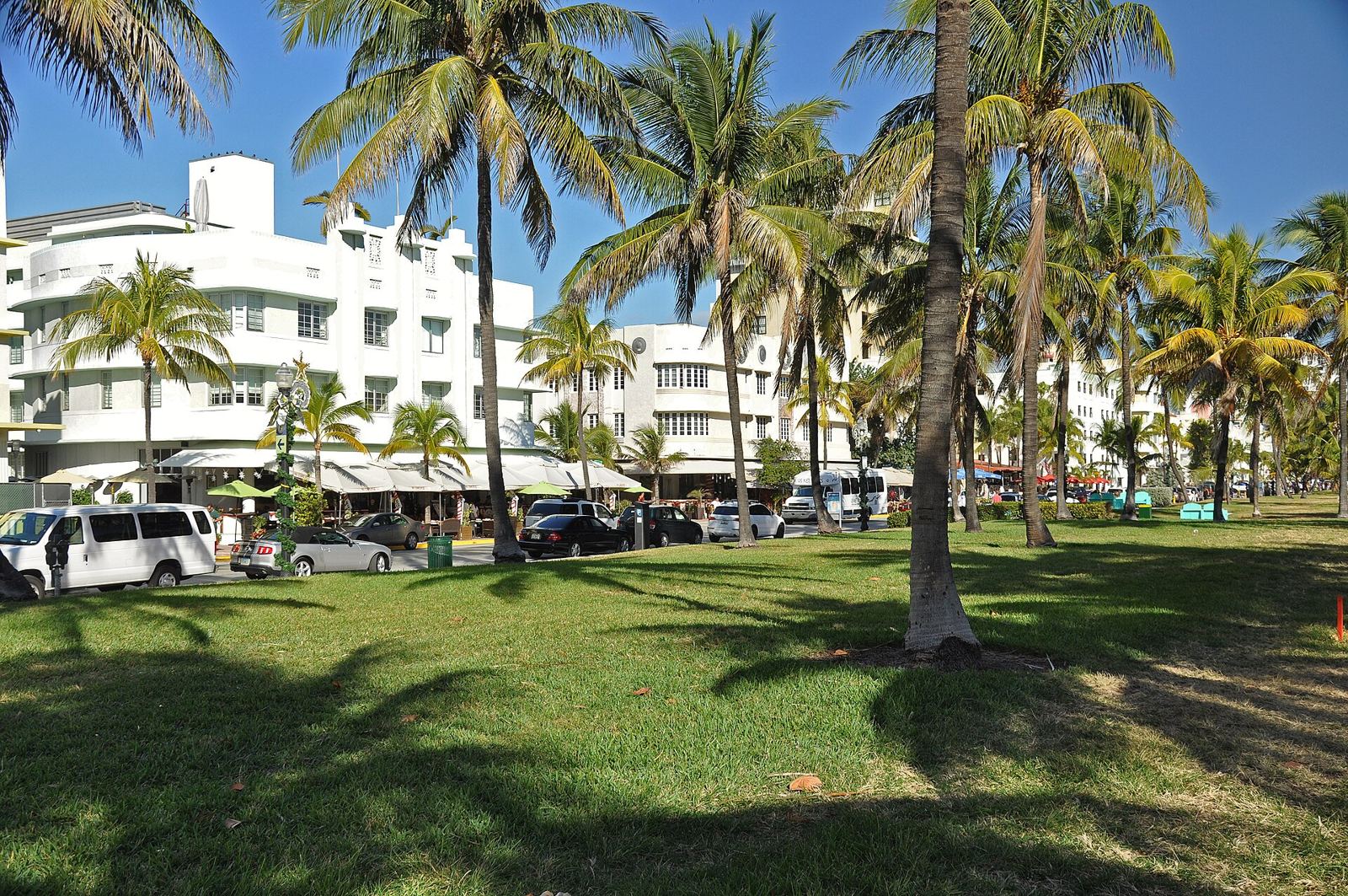 Palm trees and lawn in Lummus Park with Art Deco hotels behind
