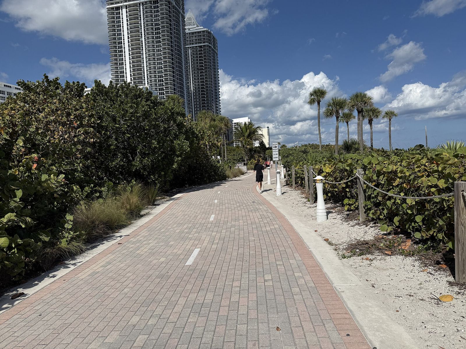 Brick beachwalk path lined with dune plants in Mid-Beach